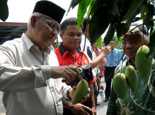 AZIZAN ABDUL RAZAK