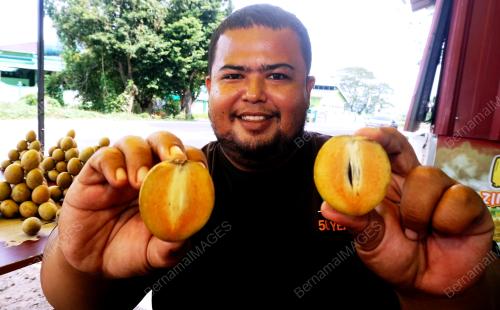 RAHSIA BUAH CIKU