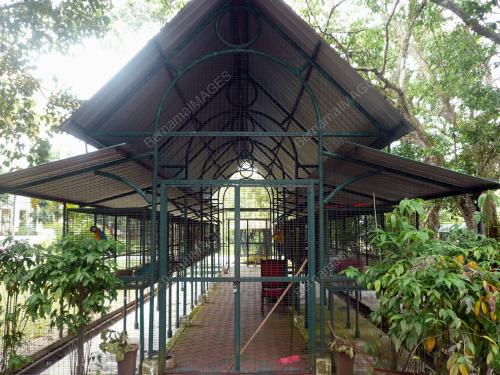 KD02_31052012_ZOO3