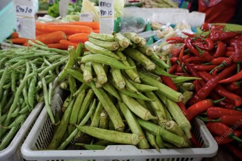 KD03_01012017_SAYUR