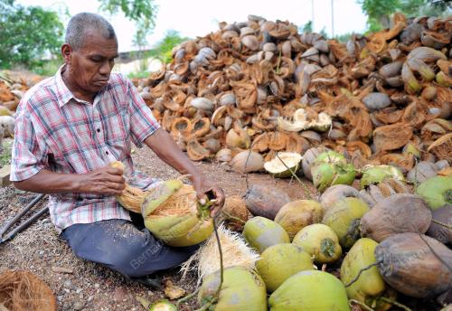 KD03_02102014_SANTAN_KEPALA