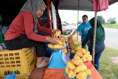 NUR AINA HADIRAH YUSOF