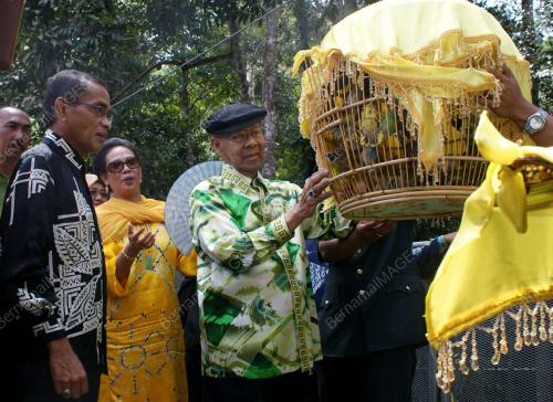 TUANKU ABDUL HALIM