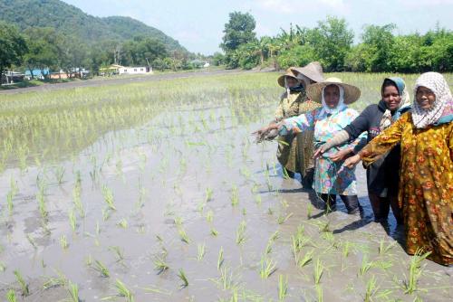 PESAWAH