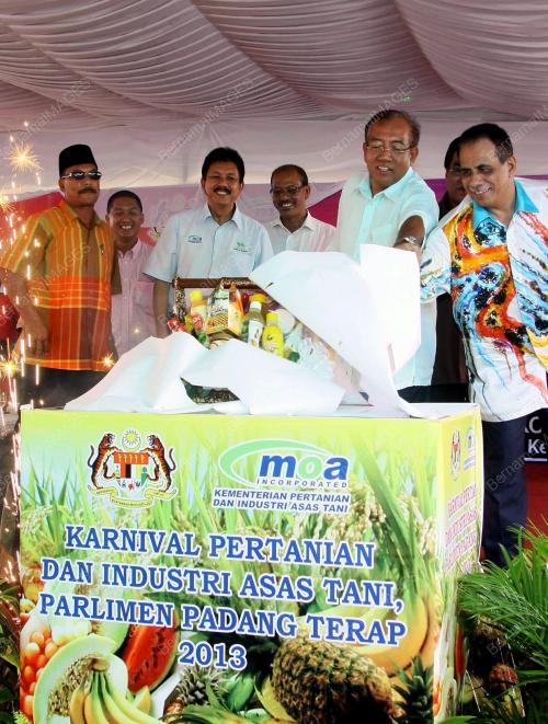 KD03_06042013_KARINIVAL