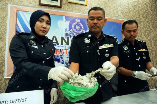 KD03_06072017_SARANG