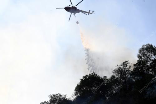 KD03_07022019_GUNUNG_BALING_BN201902069915