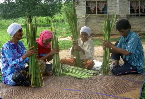 DAUN PALAS