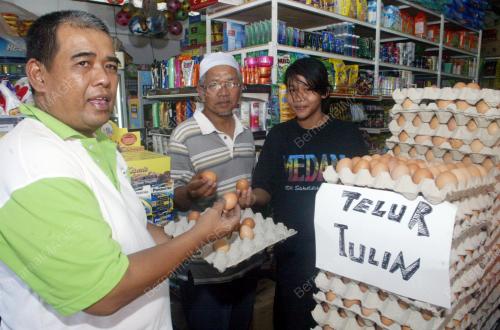 ZULKIFLI NYAK BAKAR