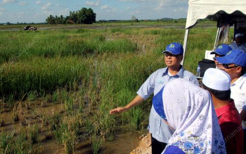 KD03_08062013_ISMAIL_SAWAH