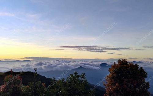 GUNUNG BINTANG