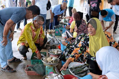 KD03_12012012_MUTHALIB_NELAYAN