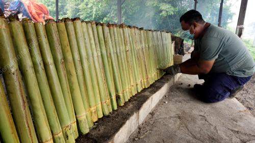 TINJAUAN LEMANG RAYA