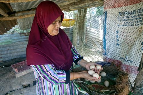 KD03_13022017_TEMBAK