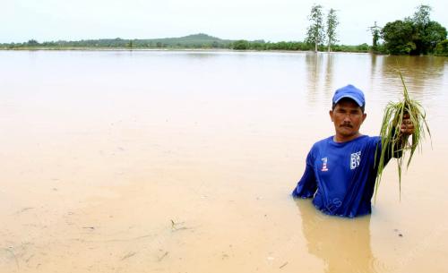 KD03_15062013_SAWAH_TENGGELAM