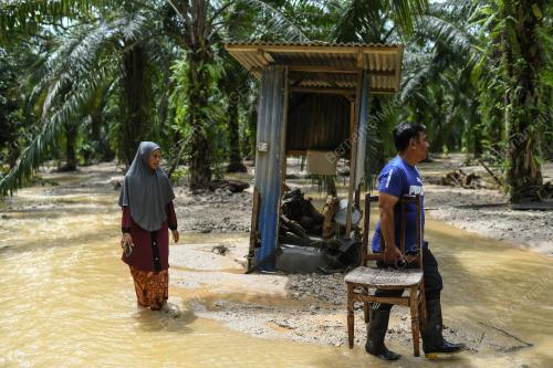 PASCA_BANJIR