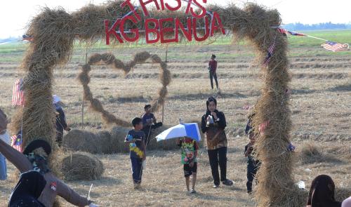 PESTA JERAMI GULUNG DAN WAU
