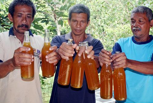 MADU LEBAH TUALANG