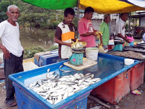 KD03_17012002_IKAN_KURANG