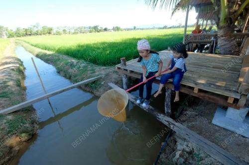MEMANCING
