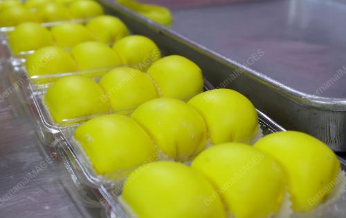 DURIAN CREPE