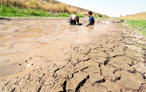 KD03_18032016_REZEKI_EL_NINO