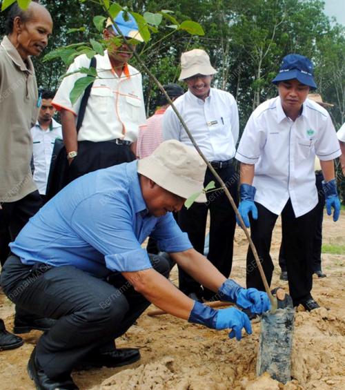 DATUK SYED SOBRI SYED HASHIM