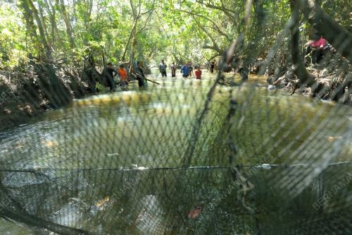 LAK LAY (HAMBAT IKAN DALAM SUNGAI)