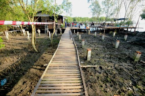 PELANTAR KAYU KUALA KANGKONG