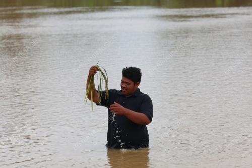 BANJIR DI JITRA