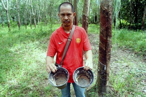 KD03_21122016_GETAH