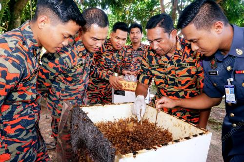 KD03_22042019_KELULUT
