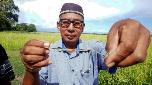 PESAWAH BANTAH KENAIKAN UPAH MENUAI