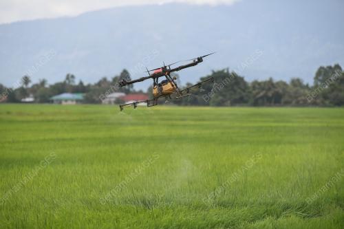 DRON SAWAH PADI