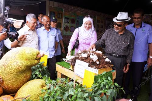 KD03_24112017_PESTA