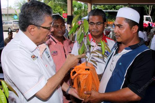 KD03_27042013_FAMA_POKOK