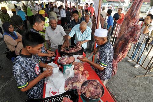 KD03_27062016_FESTIVAL_DAGING