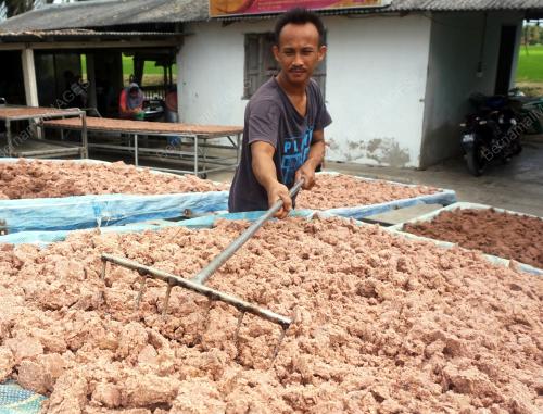 BELACAN ALOR IBUS