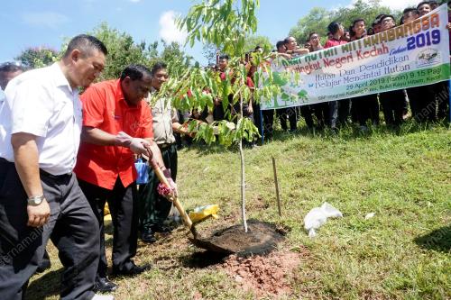 KD03_29042019_PERHUTANAN