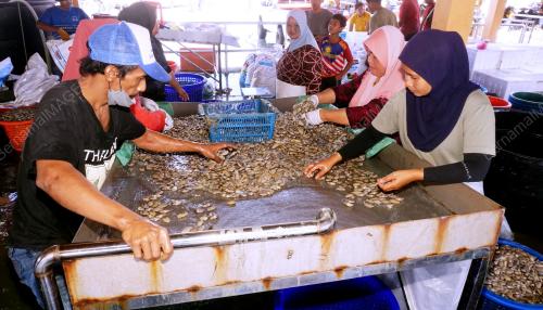 JETI PENDARATAN SIPUT SALA