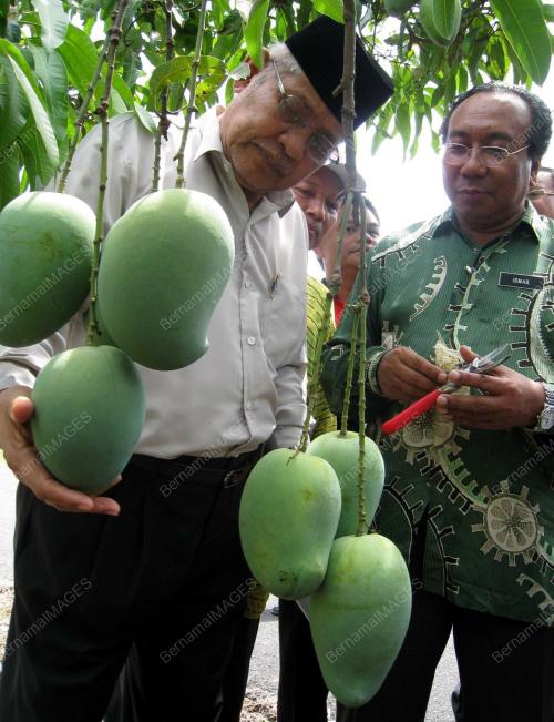 AZIZAN ABDUL RAZAK