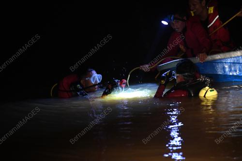 KD03_30062019_KES_LEMAS_BN201906303712