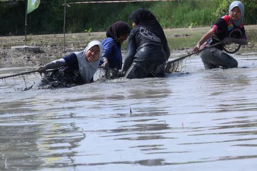 PESTA BENDANG PERPADUAN