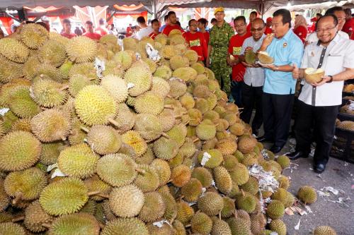 KD04_02032019_DURIAN