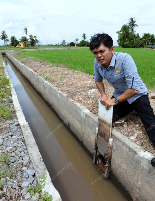 KD04_03072018_SAWAH_BN201807021957