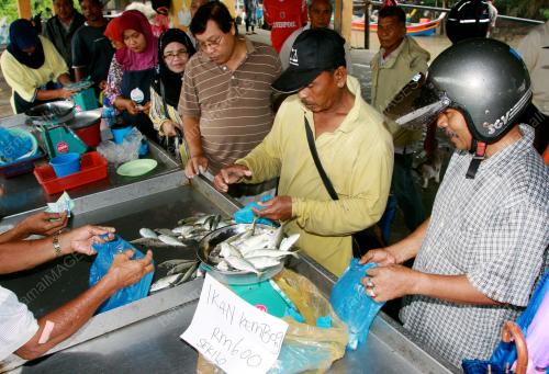 KD04_04012013_IKAN_HABIS
