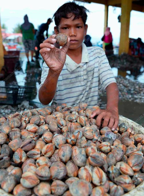 KD04_04042017_KERANG