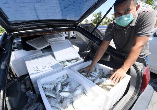 JUALAN IKAN SEGAR ONLINE