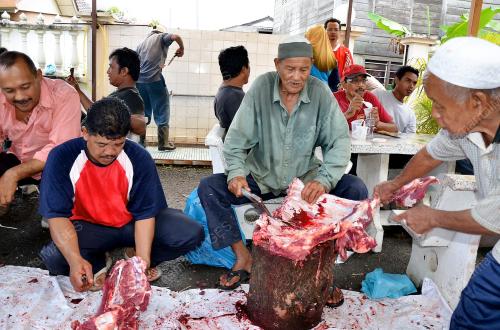 IBADAH KORBAN