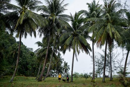 PULAU SONGSONG